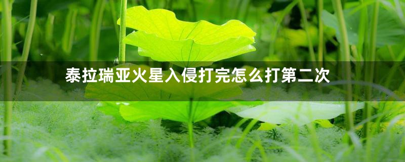 泰拉瑞亚火星入侵打完怎么打第二次