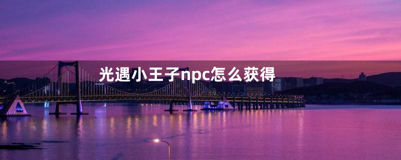 光遇小王子npc怎么获得