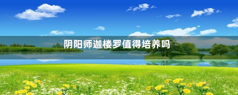 阴阳师迦楼罗值得培养吗