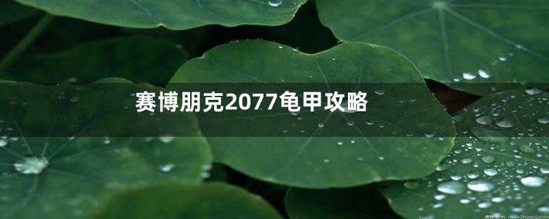 赛博朋克2077龟甲攻略