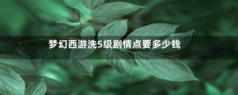 梦幻西游洗5级剧情点要多少钱