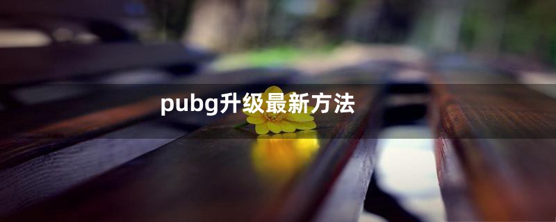 pubg升级最新方法