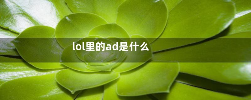 lol里的ad是什么