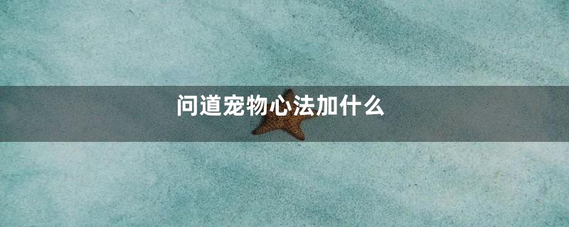 问道宠物心法加什么