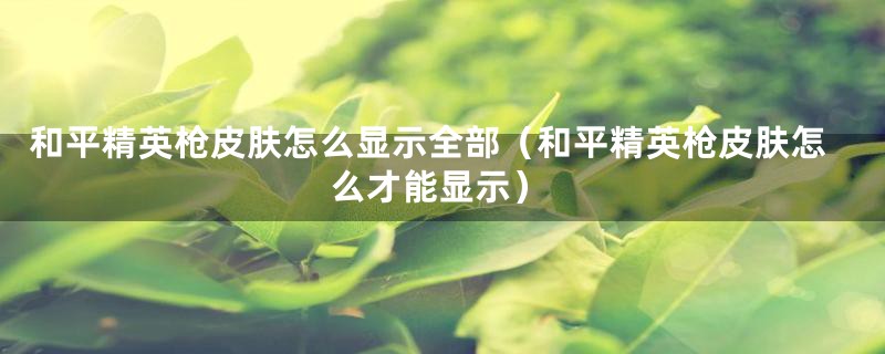 和平精英枪皮肤怎么显示全部（和平精英枪皮肤怎么才能显示）