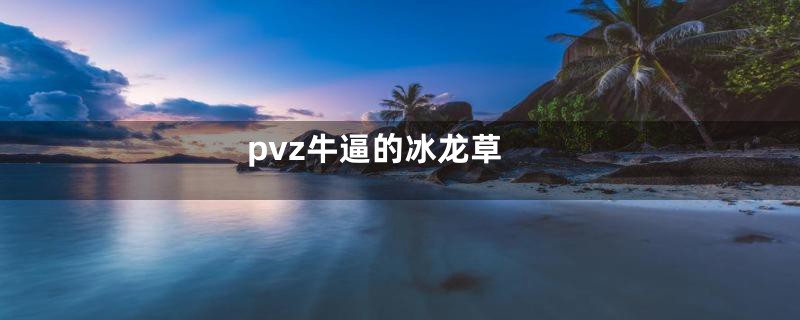 pvz牛逼的冰龙草