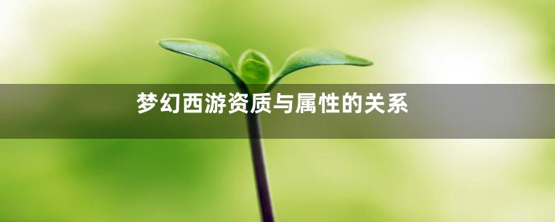 梦幻西游资质与属性的关系