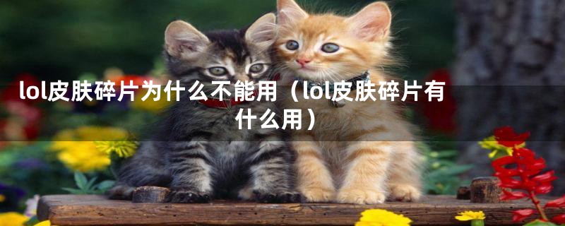 lol皮肤碎片为什么不能用（lol皮肤碎片有什么用）