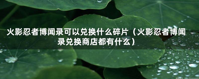 火影忍者博闻录可以兑换什么碎片（火影忍者博闻录兑换商店都有什么）