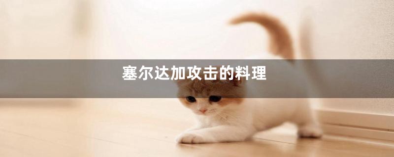 塞尔达加攻击的料理