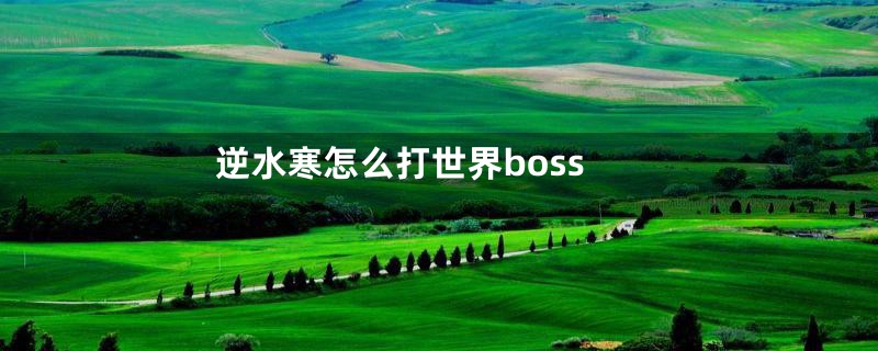 逆水寒怎么打世界boss