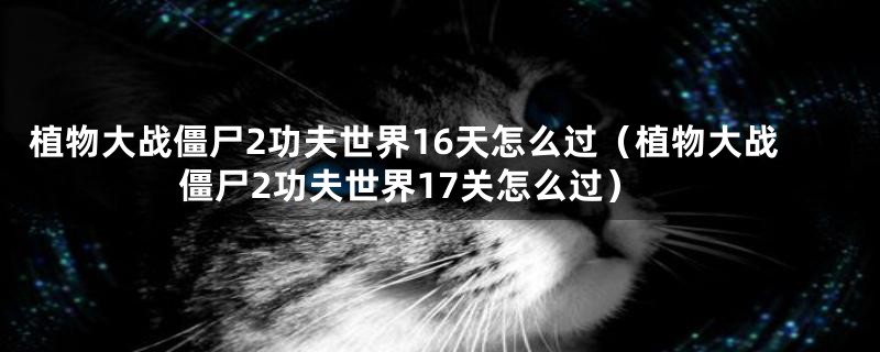 植物大战僵尸2功夫世界16天怎么过（植物大战僵尸2功夫世界17关怎么过）