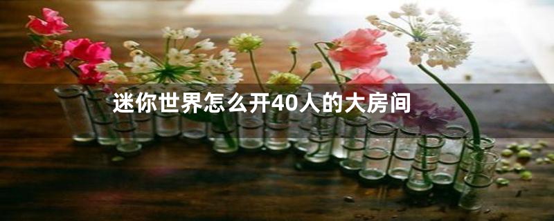 迷你世界怎么开40人的大房间