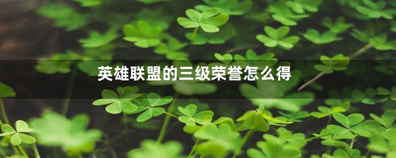 英雄联盟的三级荣誉怎么得