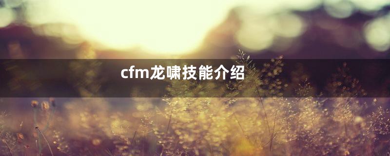 cfm龙啸技能介绍