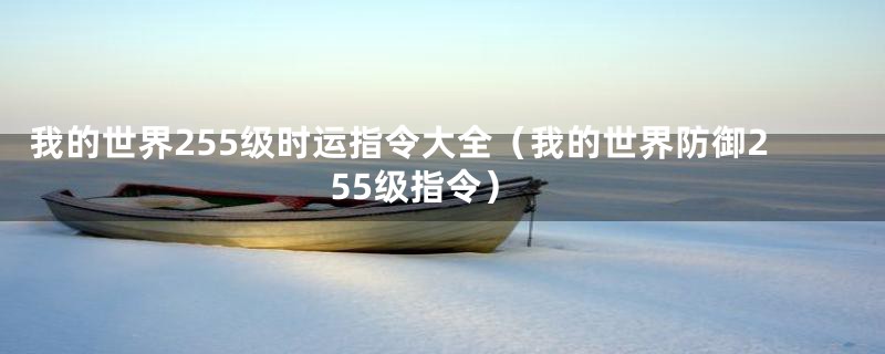 我的世界255级时运指令大全（我的世界防御255级指令）