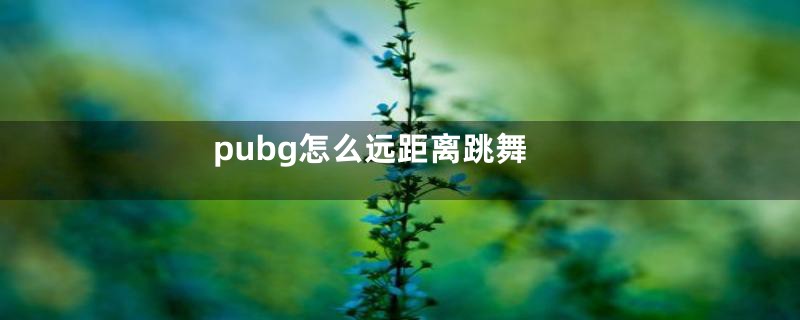 pubg怎么远距离跳舞