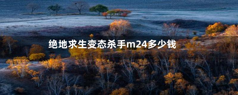 绝地求生变态杀手m24多少钱