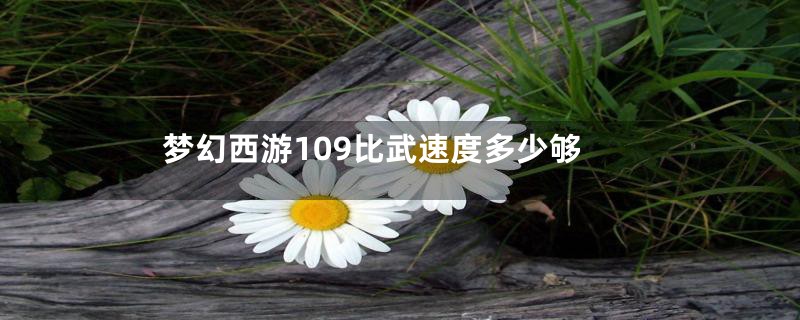 梦幻西游109比武速度多少够