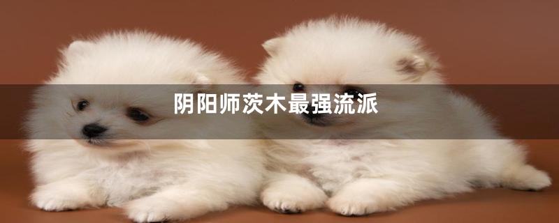 阴阳师茨木最强流派