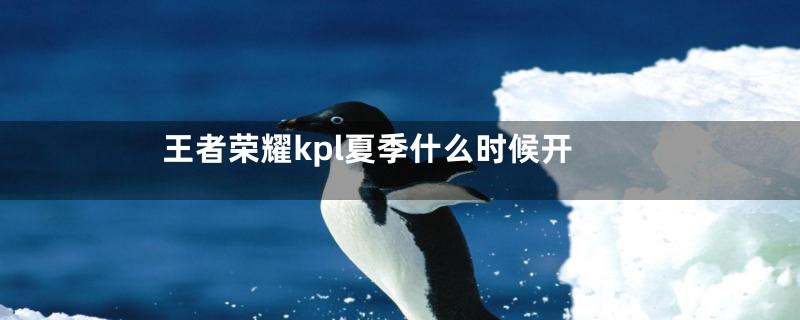 王者荣耀kpl夏季什么时候开