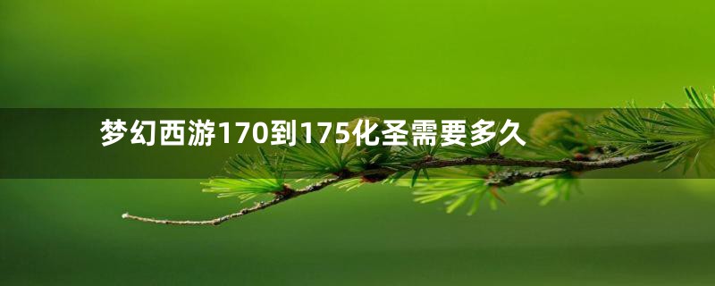 梦幻西游170到175化圣需要多久