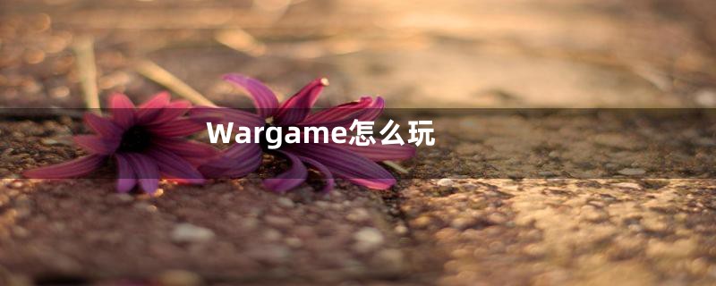 Wargame怎么玩