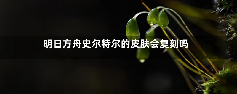 明日方舟史尔特尔的皮肤会复刻吗