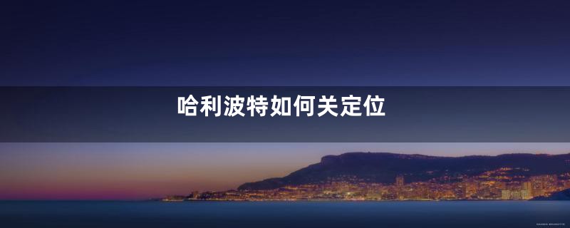 哈利波特如何关定位