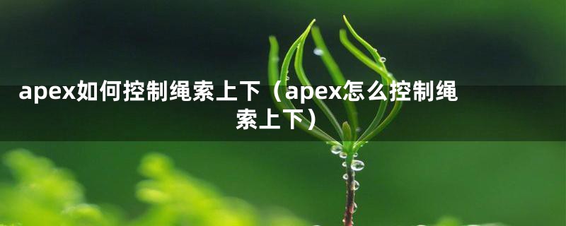 apex如何控制绳索上下（apex怎么控制绳索上下）