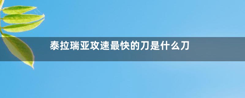 泰拉瑞亚攻速最快的刀是什么刀