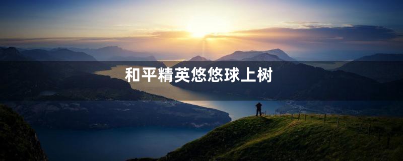 和平精英悠悠球上树