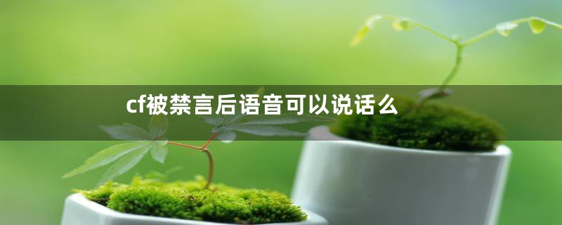 cf被禁言后语音可以说话么