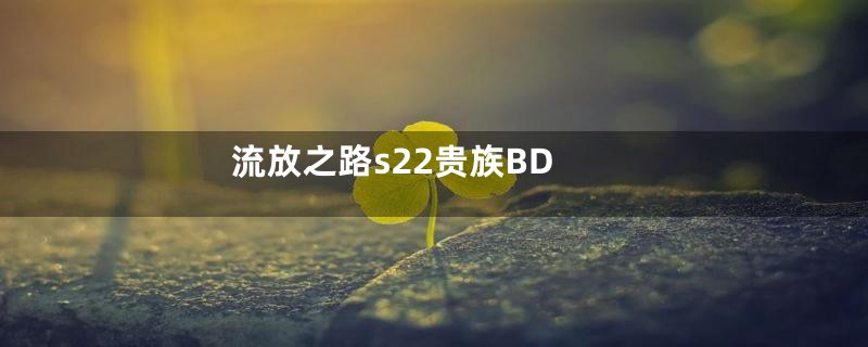 流放之路s22贵族BD