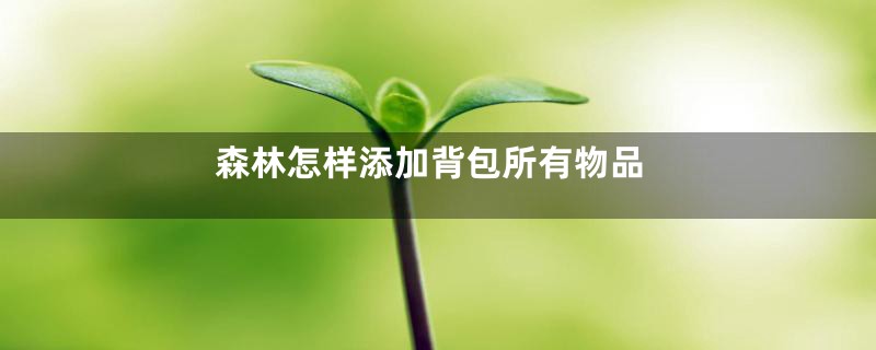 森林怎样添加背包所有物品