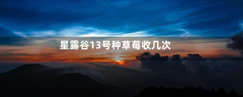 星露谷13号种草莓收几次