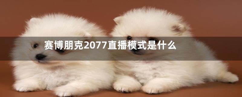 赛博朋克2077直播模式是什么