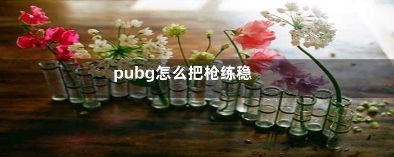 pubg怎么把枪练稳