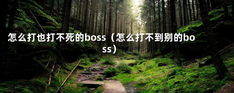 怎么打也打不死的boss（怎么打不到别的boss）