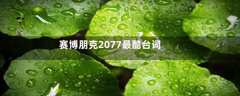 赛博朋克2077最酷台词