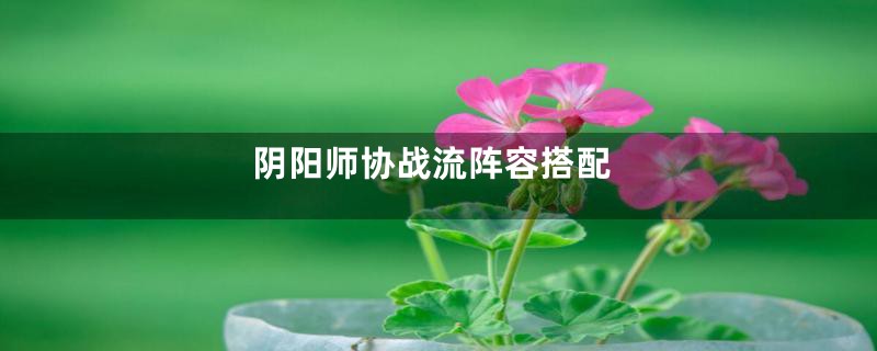 阴阳师协战流阵容搭配