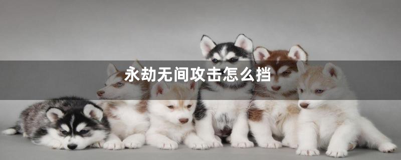 永劫无间攻击怎么挡