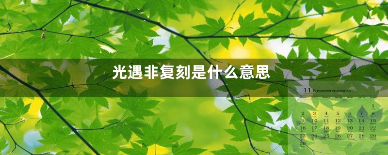 光遇非复刻是什么意思