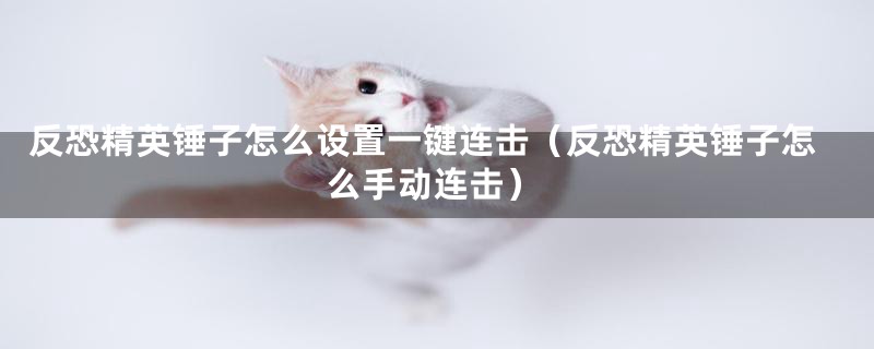 反恐精英锤子怎么设置一键连击（反恐精英锤子怎么手动连击）