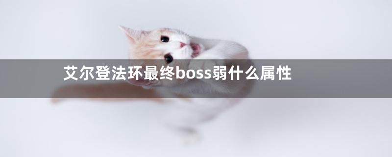 艾尔登法环最终boss弱什么属性