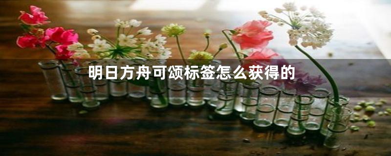 明日方舟可颂标签怎么获得的