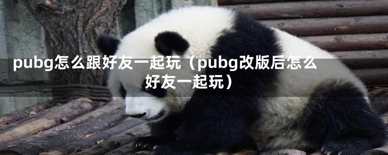 pubg怎么跟好友一起玩（pubg改版后怎么好友一起玩）