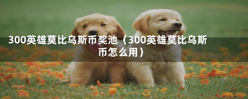 300英雄莫比乌斯币奖池（300英雄莫比乌斯币怎么用）