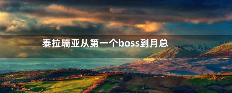 泰拉瑞亚从第一个boss到月总