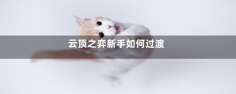 云顶之弈新手如何过渡